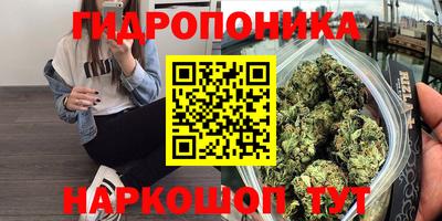 2c-b Лесосибирск