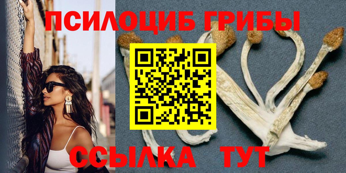 Псилоцибиновые грибы GOLDEN TEACHER Шадринск