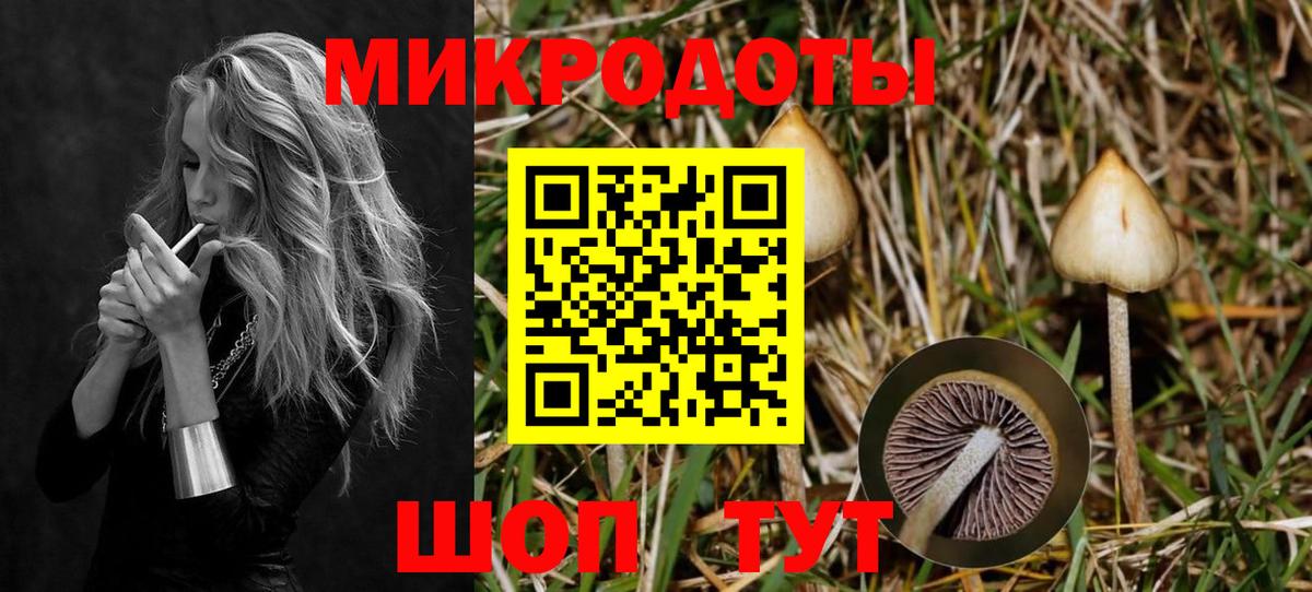 Шадринск  Галлюциногенные грибы MAGIC MUSHROOMS  Вход с VPN 
